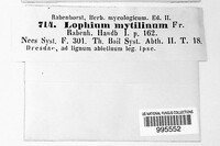 Lophium mytilinum image